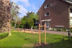 baum1_20220531_1026775530