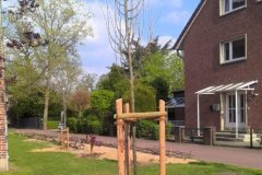 baum1_20220531_1602636742