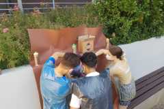 IMG-20250109-WA0007